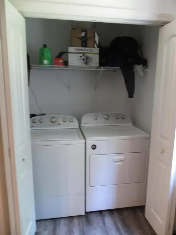 Picture 16