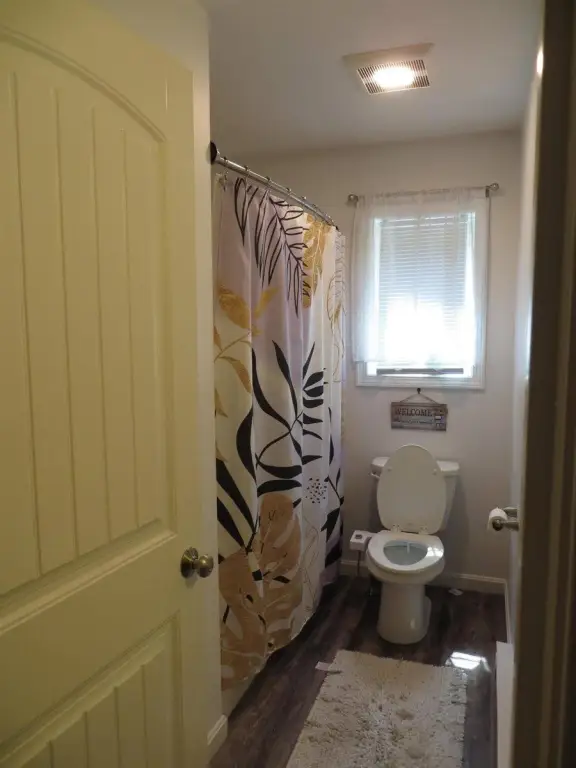 Picture 8