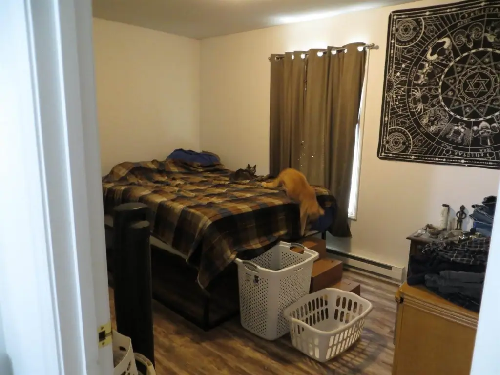 Picture 24