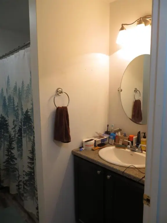 Picture 28