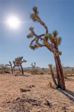 Joshua Tree Village Land Opportunity