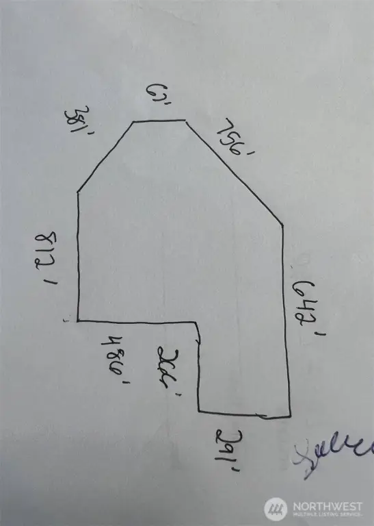 Picture 4