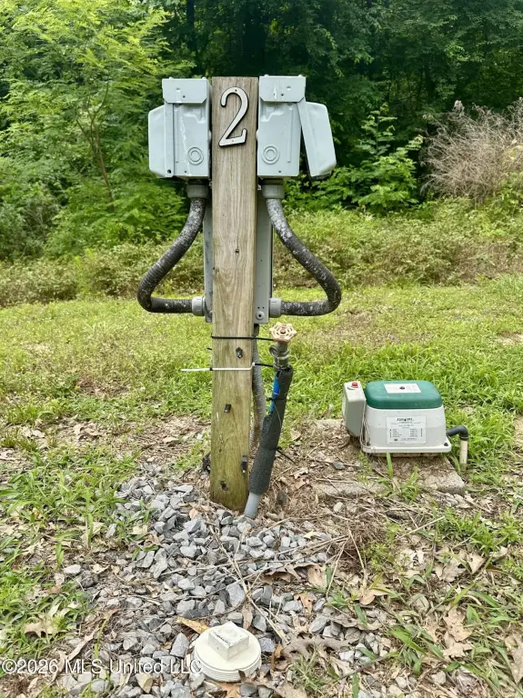 Picture 8