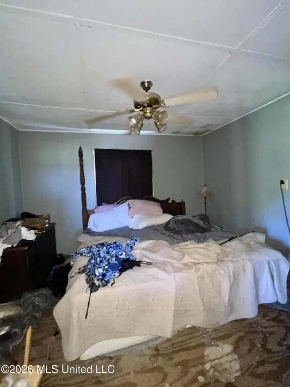 Picture 20