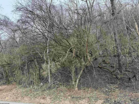 Rivesville Wooded Residential Land