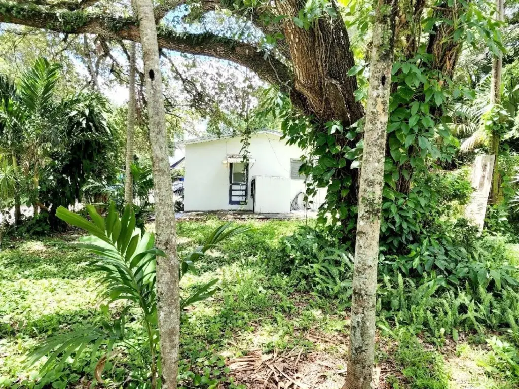 Picture 14