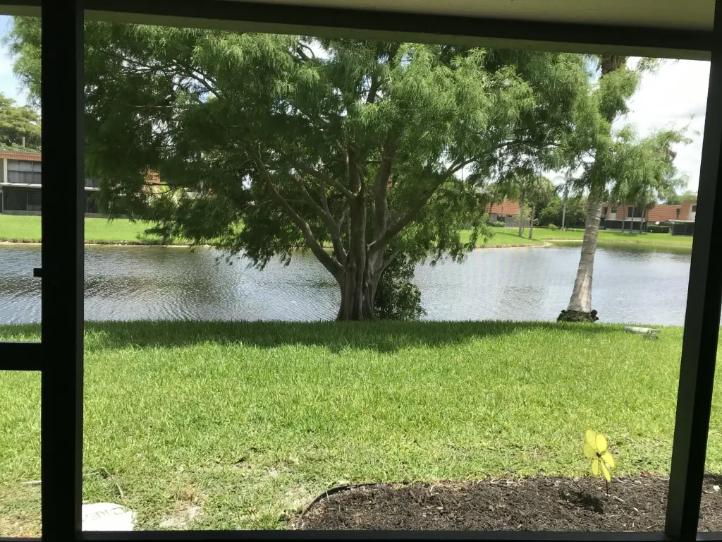 Picture 21