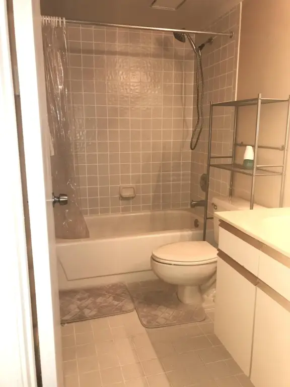 Picture 38