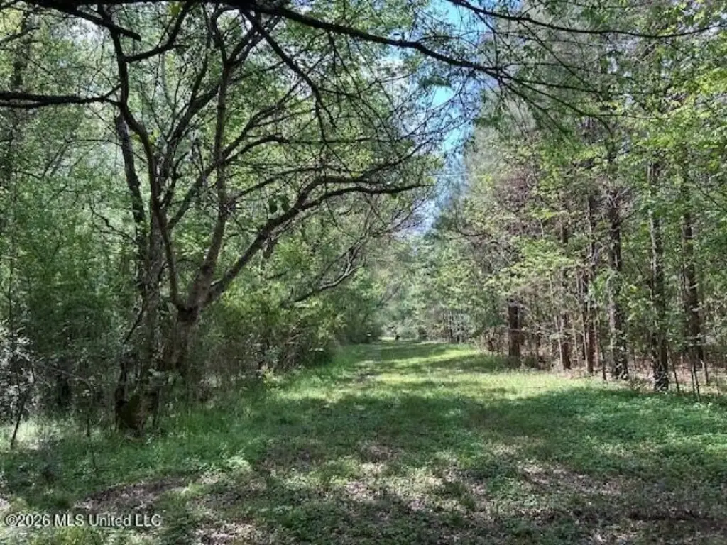 Picture 47