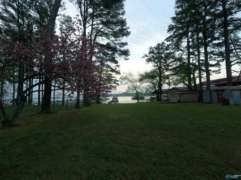 Picture 9