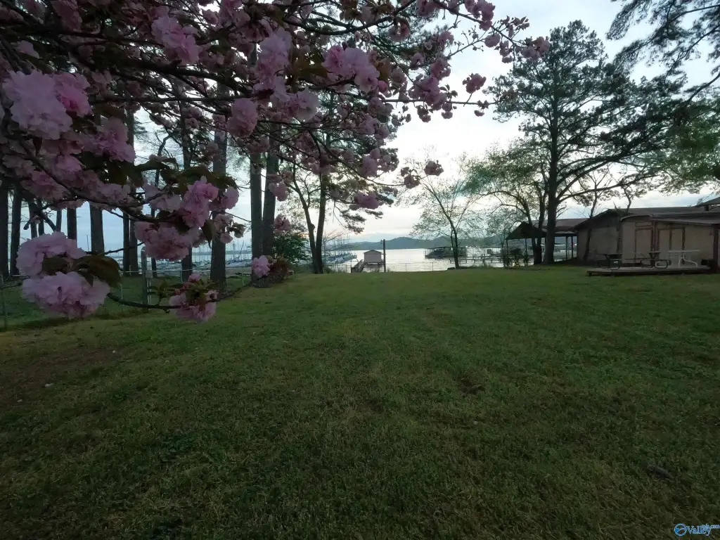 Picture 22