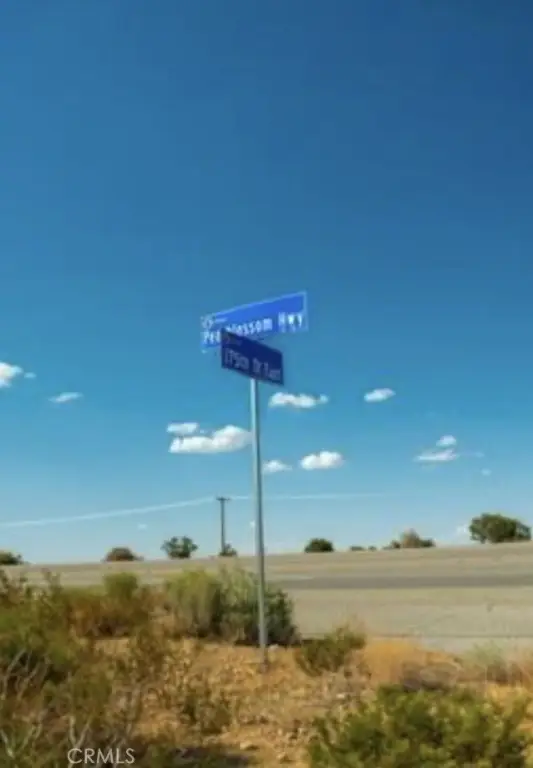 Picture 20