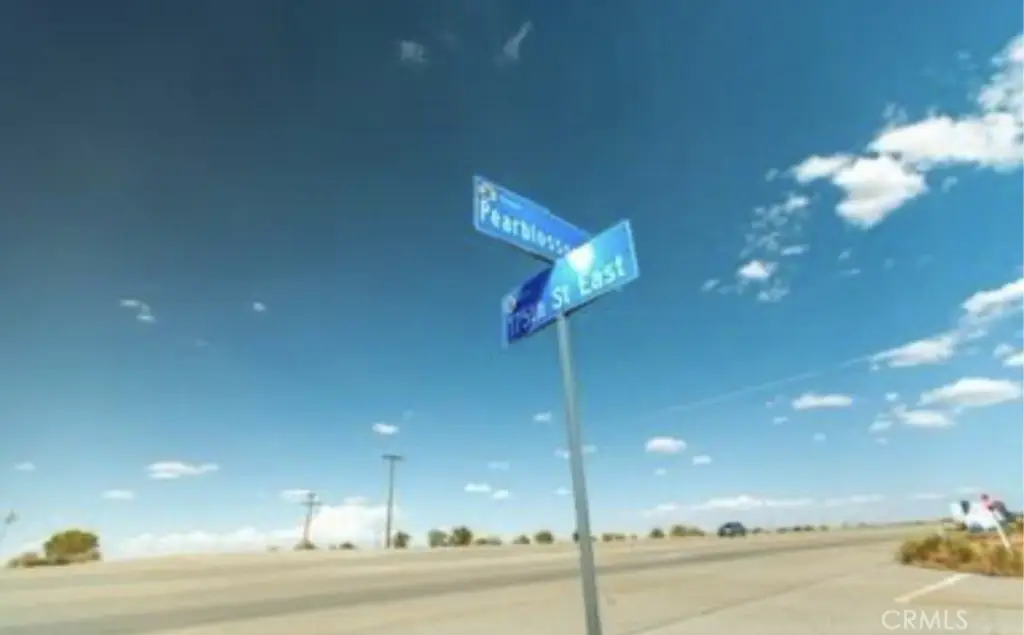 Picture 21