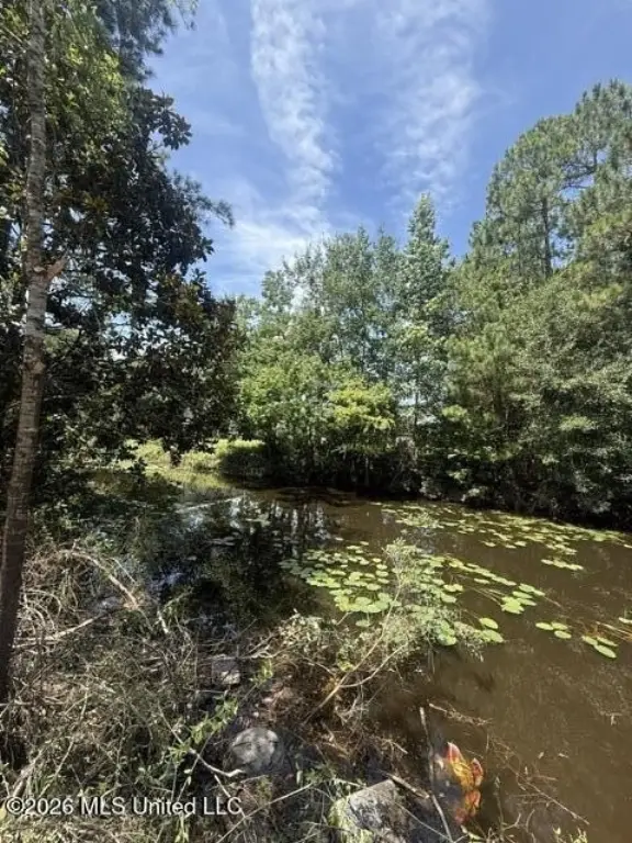 Picture 4