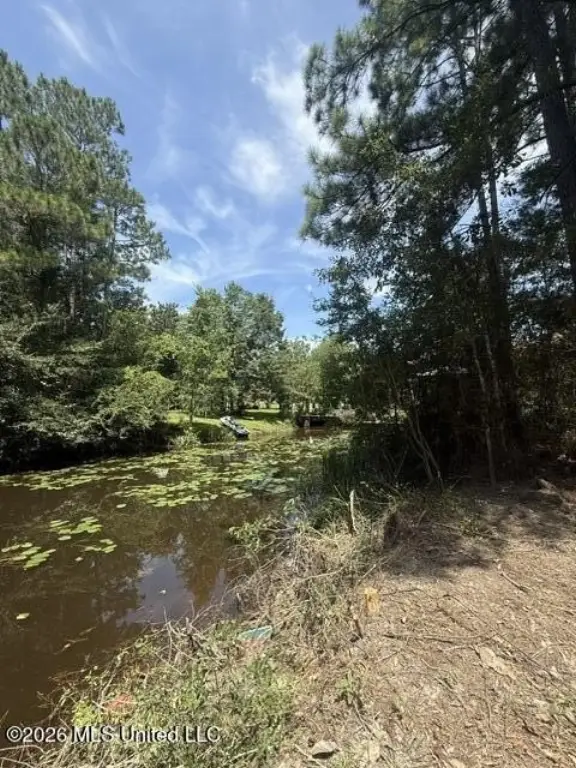 Picture 5