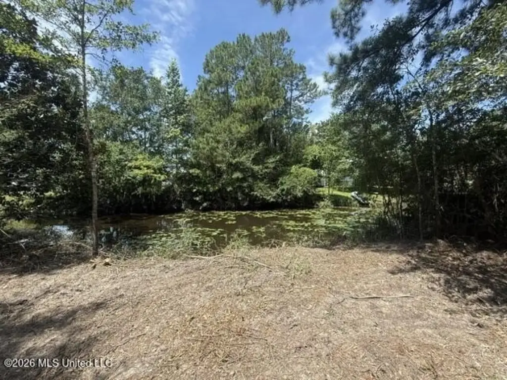 Picture 2