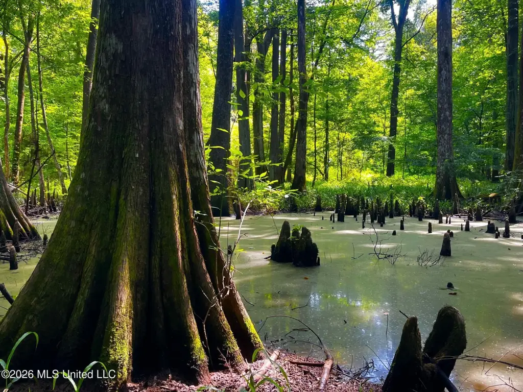 Picture 25