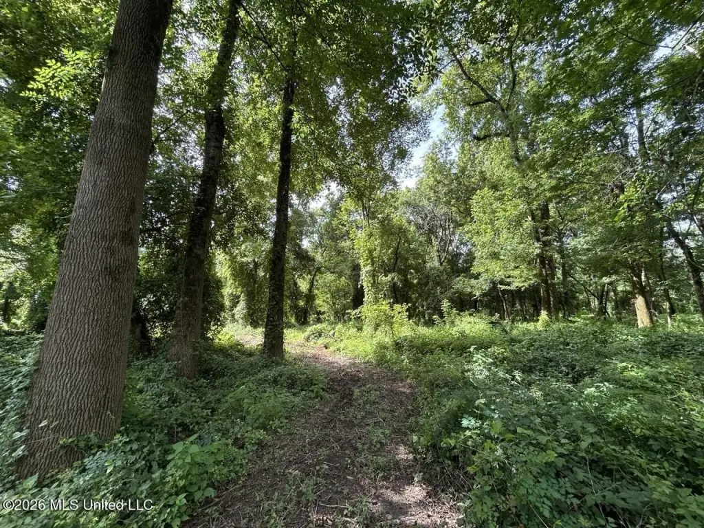 Picture 28