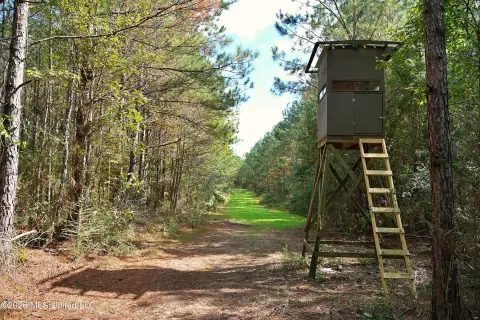 Timber Hunting Land