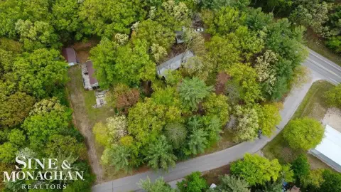 Wooded Land Near Houghton Lake