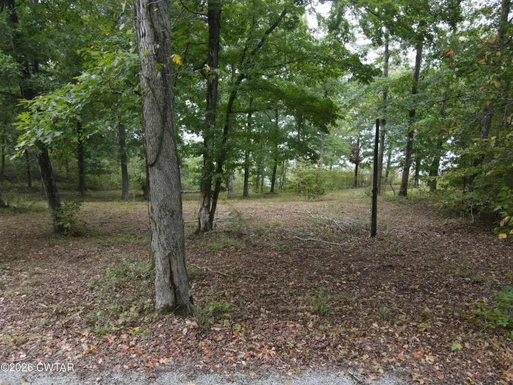 Picture 3
