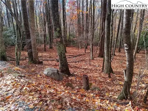 Beech Mountain Building Lot