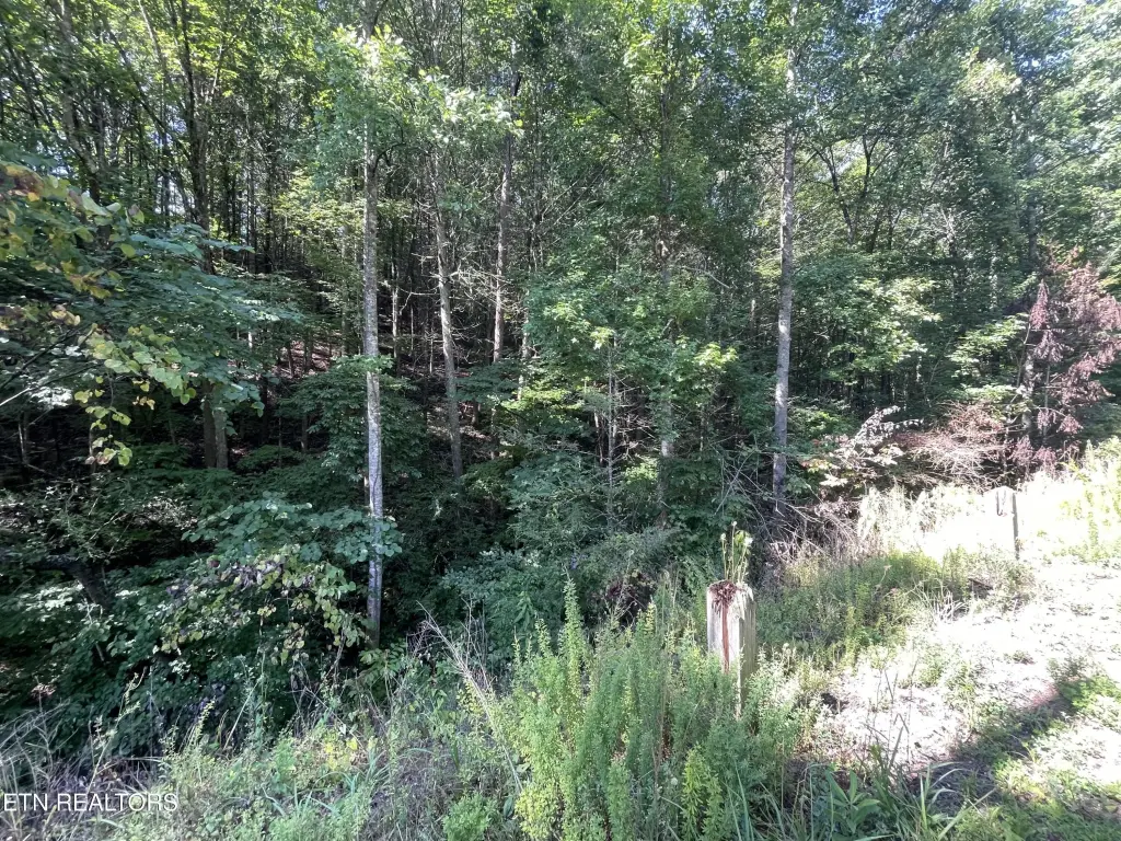 Picture 16