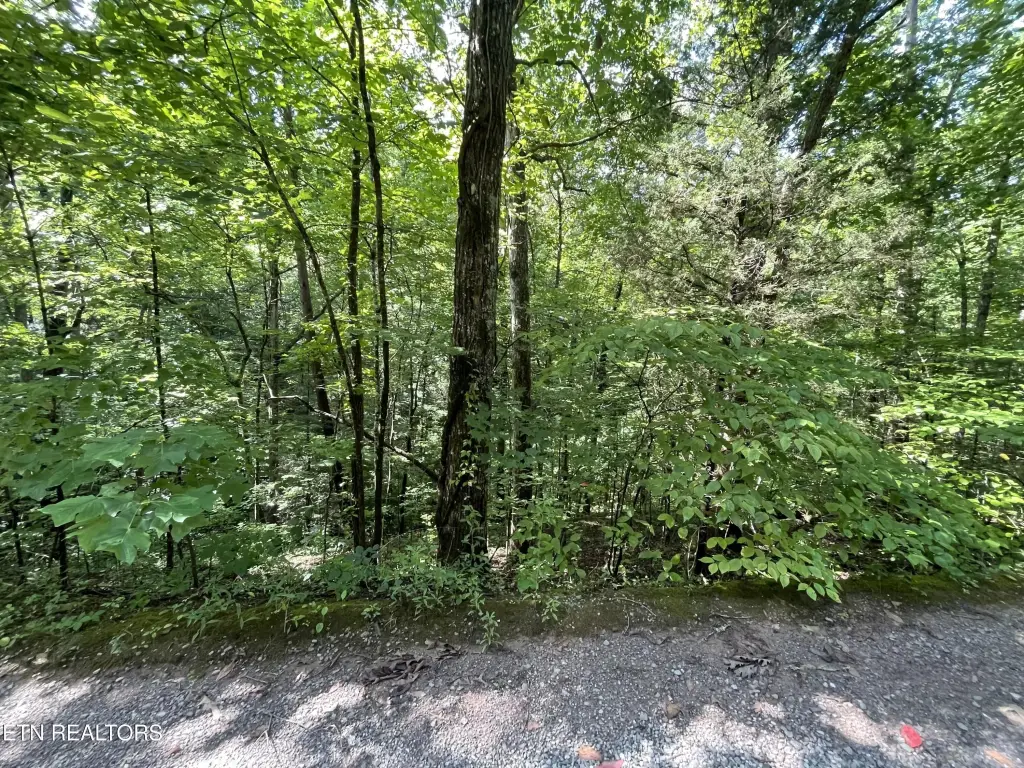 Picture 18