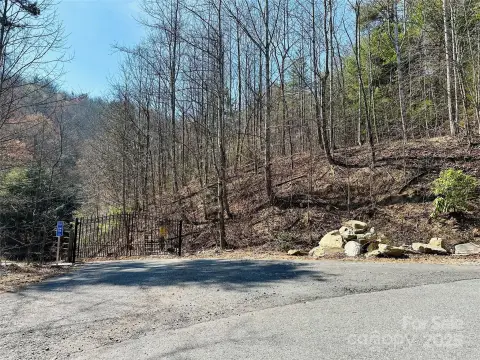 Land For Sale in Purlear