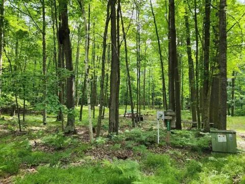 Wooded Acre in Recreational Association