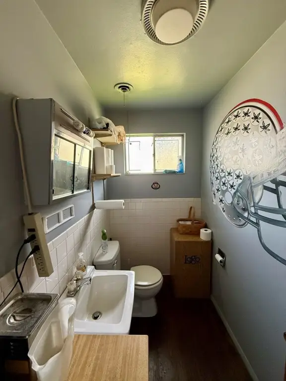 Picture 14