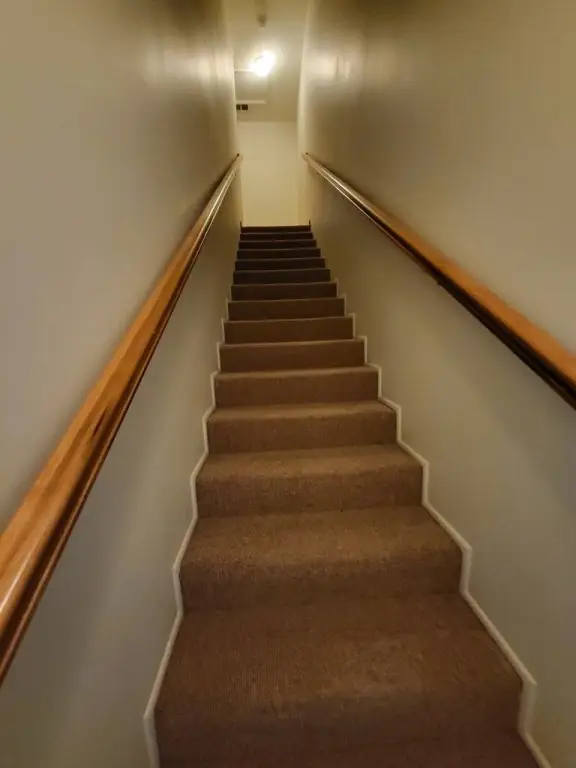Picture 24