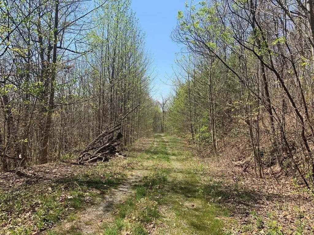 Picture 25