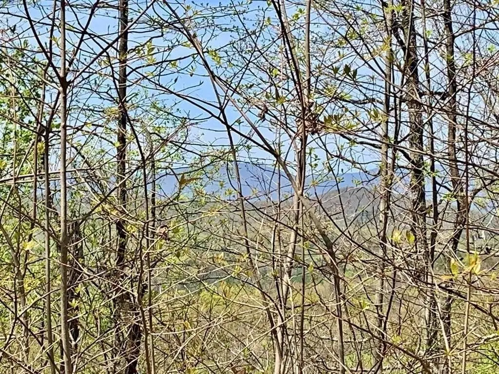 Picture 19