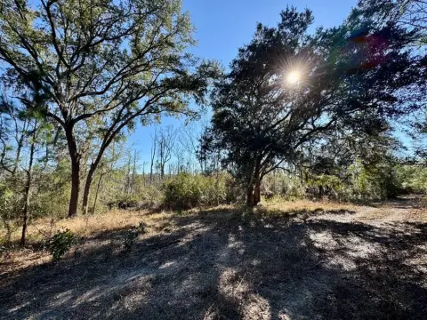 Land Opportunity Near Congaree Golf