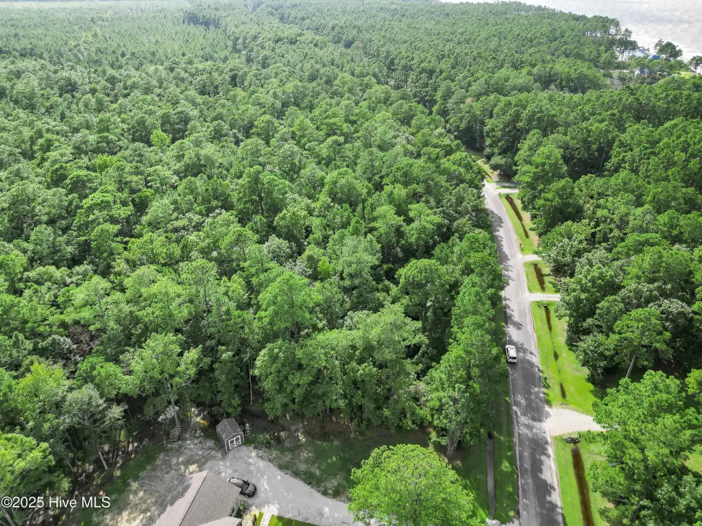 Picture 12