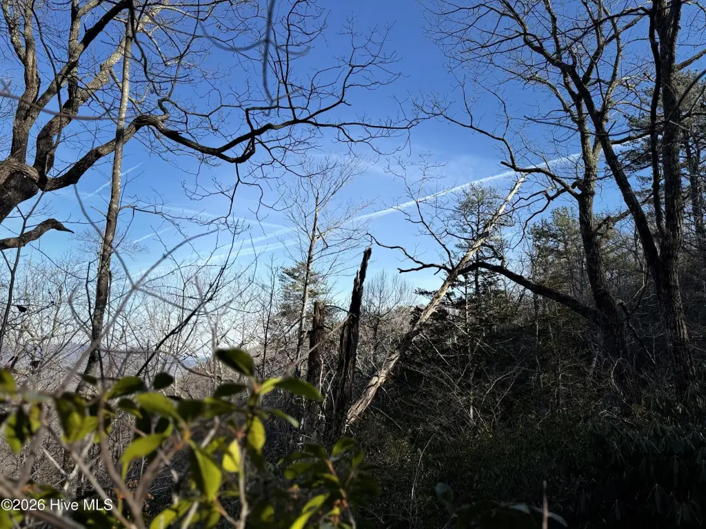 Picture 13