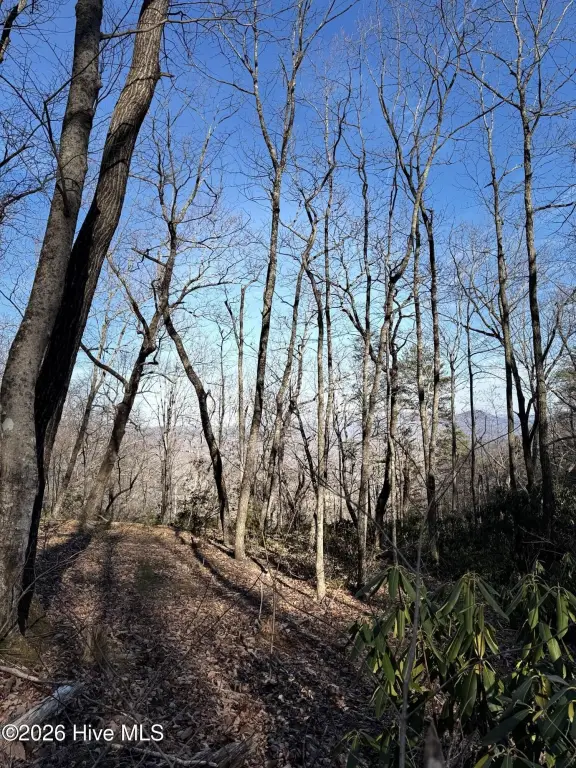 Picture 6