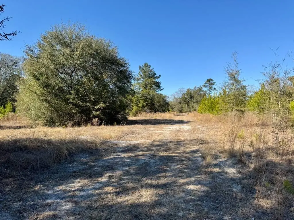 Picture 25