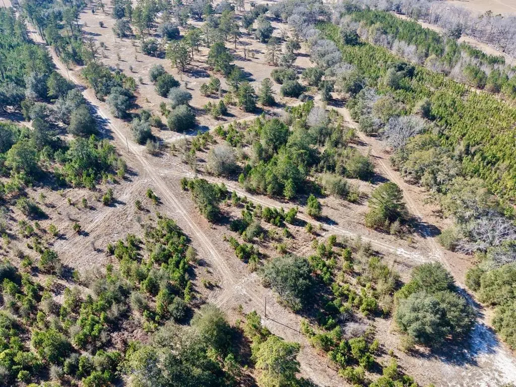 Picture 30