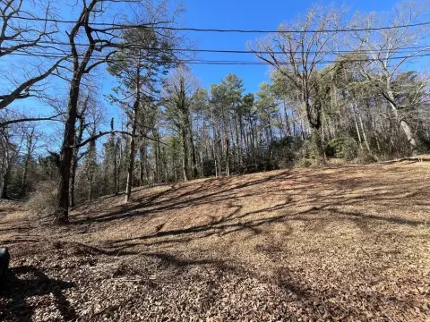Blue Ridge Vacant Lot