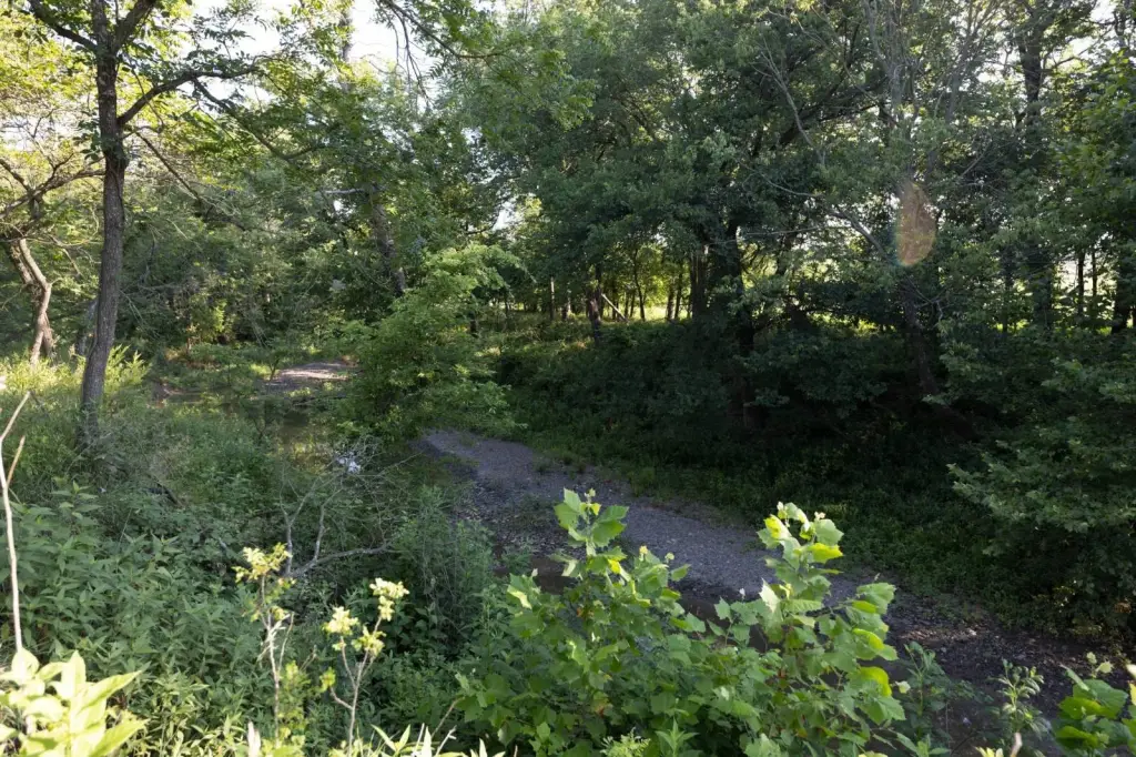 Picture 19