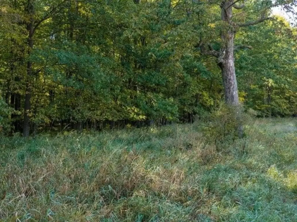 Picture 30
