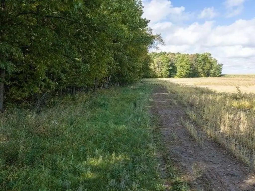 Picture 37