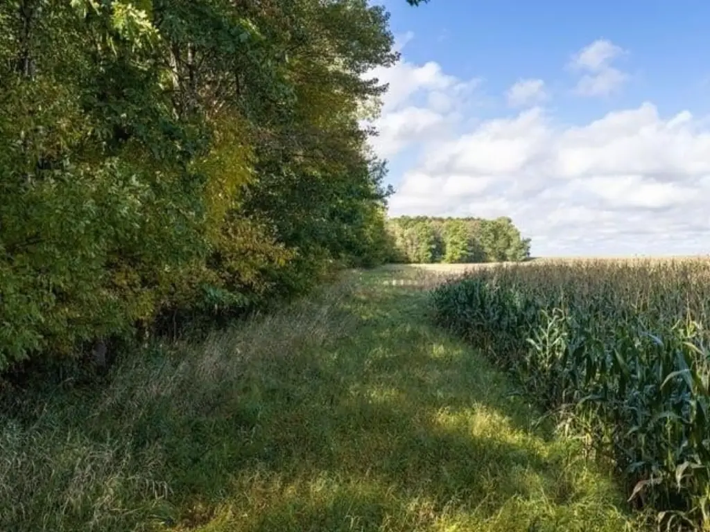 Picture 39