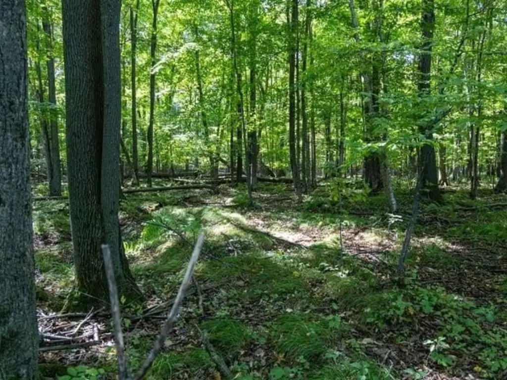 Picture 10