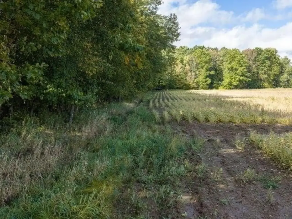 Picture 56
