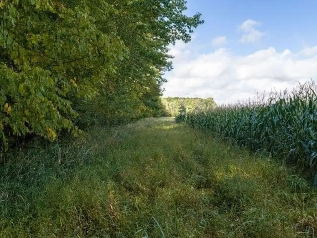Picture 34