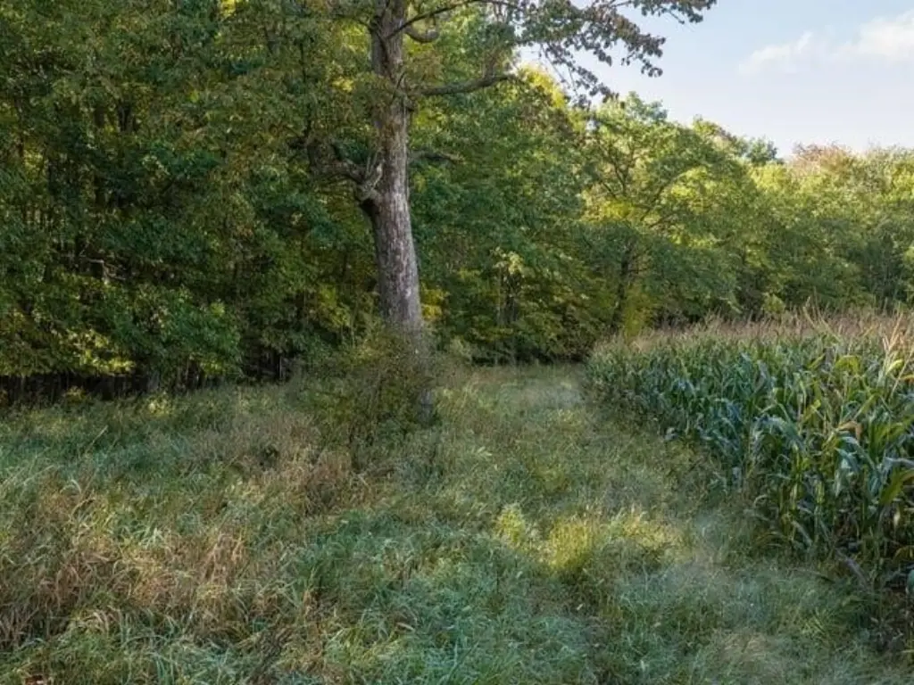 Picture 32