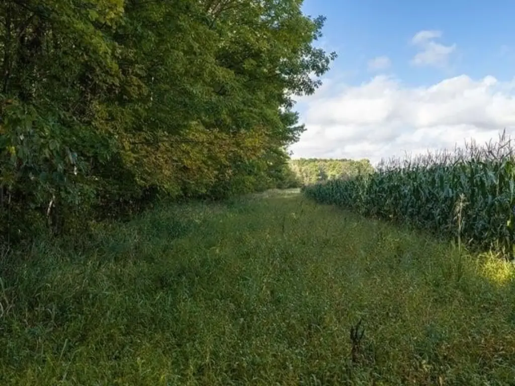 Picture 38